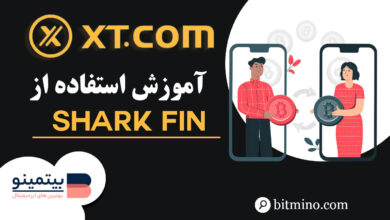 آموزش بخش Shark Fin صرافی XT