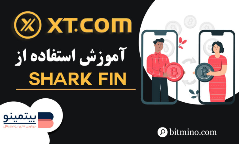 آموزش بخش Shark Fin صرافی XT