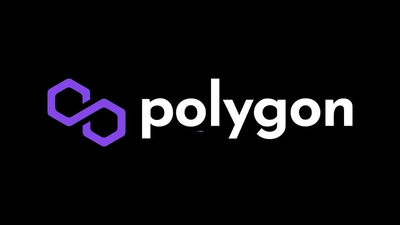 شبکه polygon