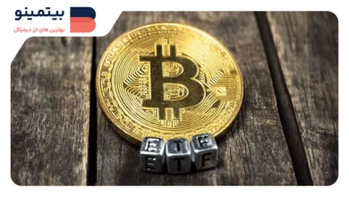 دانشگاه براون به پرتفوی خود ETF بیت‌کوین به ارزش ۴.۹ میلیون دلار اضافه کرد