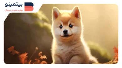 DOGE با ۳۴.۲ میلیارد دلار، پیشتاز میم کوین‌ها