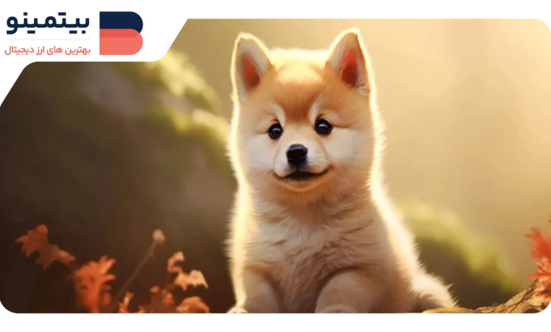 DOGE با ۳۴.۲ میلیارد دلار، پیشتاز میم کوین‌ها