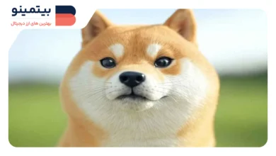 افزایش 5 درصدی قیمت دوج‌کوین با خرید 10 میلیون DOGE