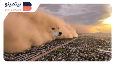 ایلان ماسک باعث احیای دوباره شایعات DOGE شد: آیا صعود قیمت در راه است؟