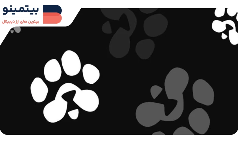 ایردراپ پاوز (PAWS) قرار است با چه قیمتی در بازار معرفی شود؟