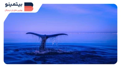بازگشت علاقه سرمایه‌گذاران به بازار با خریدهای نهنگ‌های ریپل