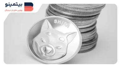 افزایش 1300 درصدی توکن سوزی Shiba Inu، آیا قیمت SHIB به رشد ادامه می‌دهد؟