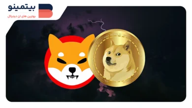 شیباریوم به milestone مهمی رسید: ثبت ۲ میلیون والت